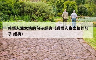 感悟人生太快的句子经典（感悟人生太快的句子 经典）