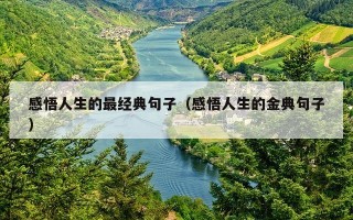 感悟人生的最经典句子（感悟人生的金典句子）