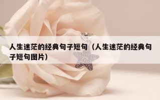 人生迷茫的经典句子短句（人生迷茫的经典句子短句图片）