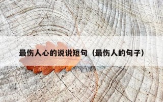 最伤人心的说说短句（最伤人的句子）