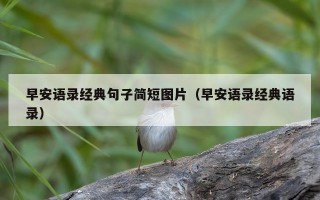 早安语录经典句子简短图片（早安语录经典语录）
