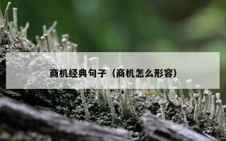 商机经典句子（商机怎么形容）