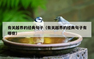 有关越界的经典句子（有关越界的经典句子有哪些）