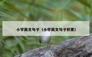 小学英文句子（小学英文句子积累）