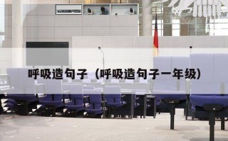 呼吸造句子（呼吸造句子一年级）