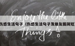 伤感生活句子（伤感生活句子发朋友圈简短）