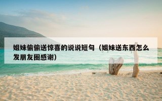 姐妹偷偷送惊喜的说说短句（姐妹送东西怎么发朋友圈感谢）