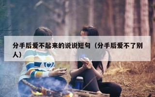 分手后爱不起来的说说短句（分手后爱不了别人）