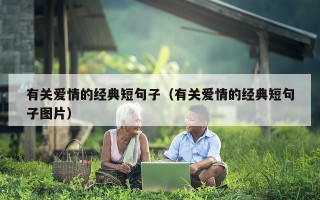 有关爱情的经典短句子（有关爱情的经典短句子图片）