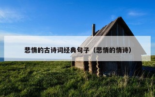 悲情的古诗词经典句子（悲情的情诗）