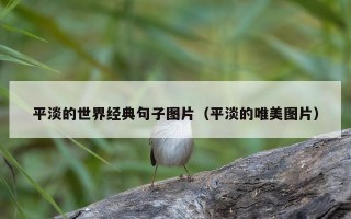 平淡的世界经典句子图片（平淡的唯美图片）