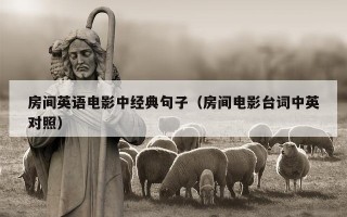 房间英语电影中经典句子（房间电影台词中英对照）