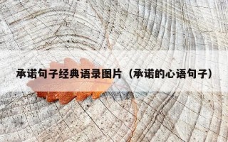 承诺句子经典语录图片（承诺的心语句子）