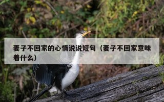 妻子不回家的心情说说短句（妻子不回家意味着什么）