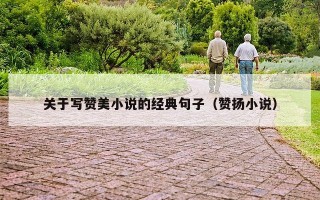 关于写赞美小说的经典句子（赞扬小说）