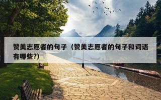 赞美志愿者的句子（赞美志愿者的句子和词语有哪些?）