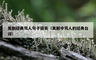美剧经典骂人句子搞笑（美剧中骂人的经典台词）