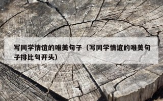 写同学情谊的唯美句子（写同学情谊的唯美句子排比句开头）