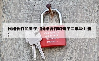 团结合作的句子（团结合作的句子二年级上册）