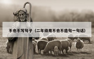 不也不写句子（二年级用不也不造句一句话）