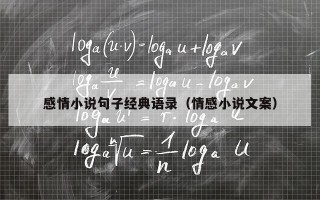 感情小说句子经典语录（情感小说文案）