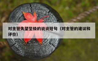 对主管失望至极的说说短句（对主管的建议和评价）
