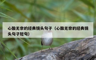 心酸无奈的经典镜头句子（心酸无奈的经典镜头句子短句）