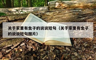 关于家里有虫子的说说短句（关于家里有虫子的说说短句图片）