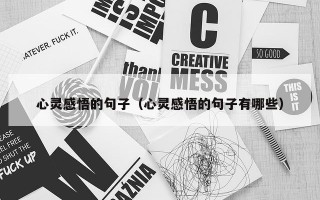 心灵感悟的句子（心灵感悟的句子有哪些）