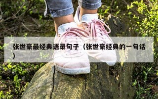 张世豪最经典语录句子（张世豪经典的一句话）