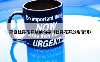 形容牡丹花开放的句子（牡丹花开放形容词）