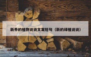 新养的植物说说文案短句（新的绿植说说）
