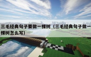 三毛经典句子要做一棵树（三毛经典句子做一棵树怎么写）