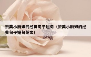赞美小厨娘的经典句子短句（赞美小厨娘的经典句子短句英文）