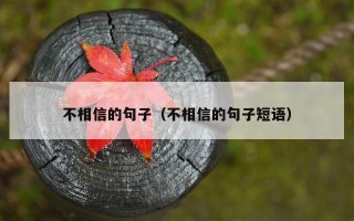 不相信的句子（不相信的句子短语）