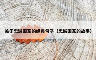 关于忠诚国家的经典句子（忠诚国家的故事）