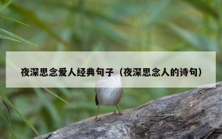 夜深思念爱人经典句子（夜深思念人的诗句）