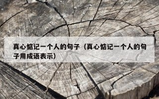 真心惦记一个人的句子（真心惦记一个人的句子用成语表示）