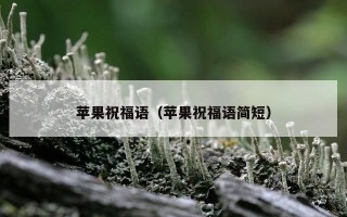 苹果祝福语（苹果祝福语简短）