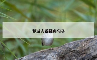 梦游人谣经典句子