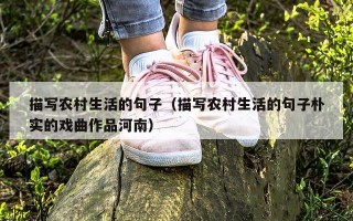 描写农村生活的句子（描写农村生活的句子朴实的戏曲作品河南）