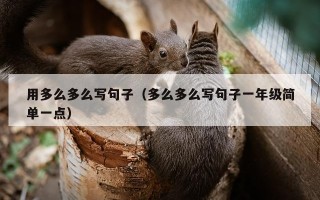 用多么多么写句子（多么多么写句子一年级简单一点）