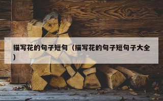 描写花的句子短句（描写花的句子短句子大全）
