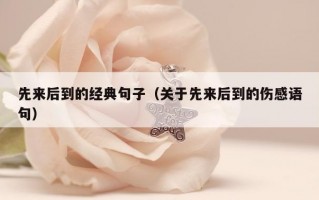 先来后到的经典句子（关于先来后到的伤感语句）