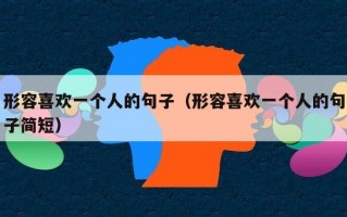 形容喜欢一个人的句子（形容喜欢一个人的句子简短）