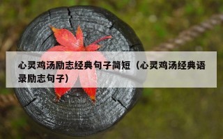 心灵鸡汤励志经典句子简短（心灵鸡汤经典语录励志句子）