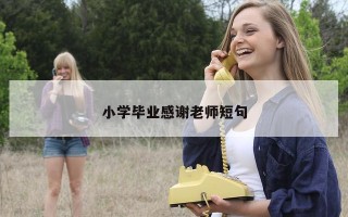 小学毕业感谢老师短句