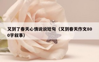 又到了春天心情说说短句（又到春天作文800字叙事）