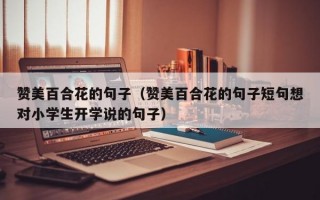 赞美百合花的句子（赞美百合花的句子短句想对小学生开学说的句子）