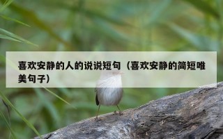 喜欢安静的人的说说短句（喜欢安静的简短唯美句子）